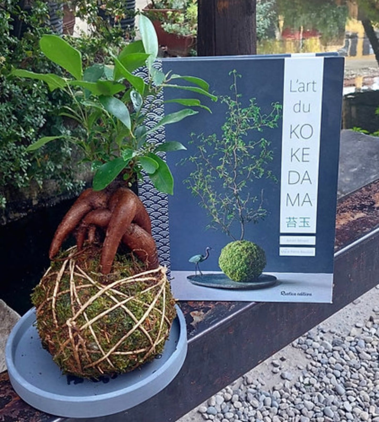 Crea il tuo Kokedama: l’arte delle piante fluttuanti