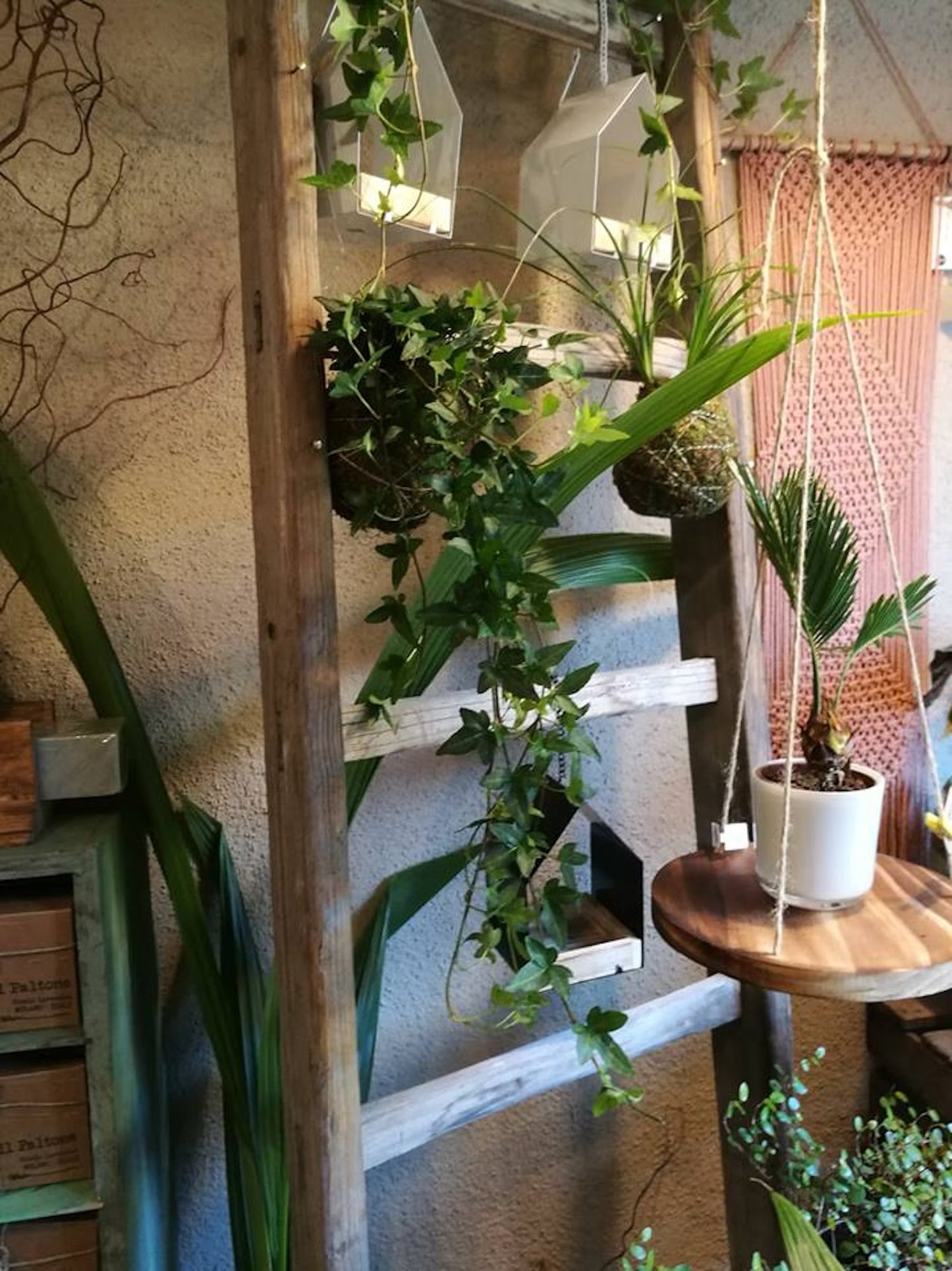 Crea il tuo Kokedama: l’arte delle piante fluttuanti