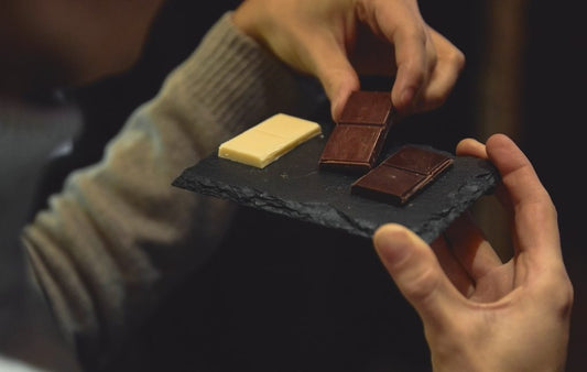 Discover real chocolate from cocoa to bar!