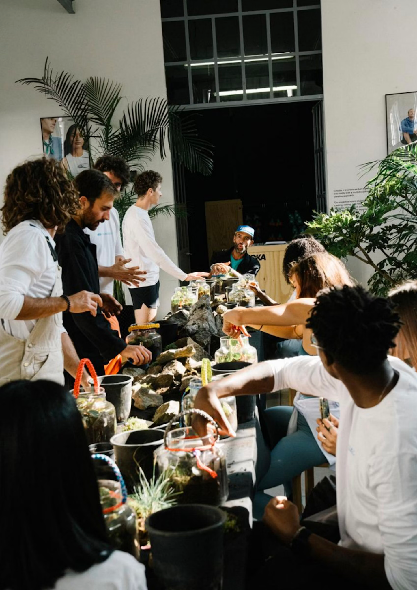 An afternoon in your Botanical Clinic