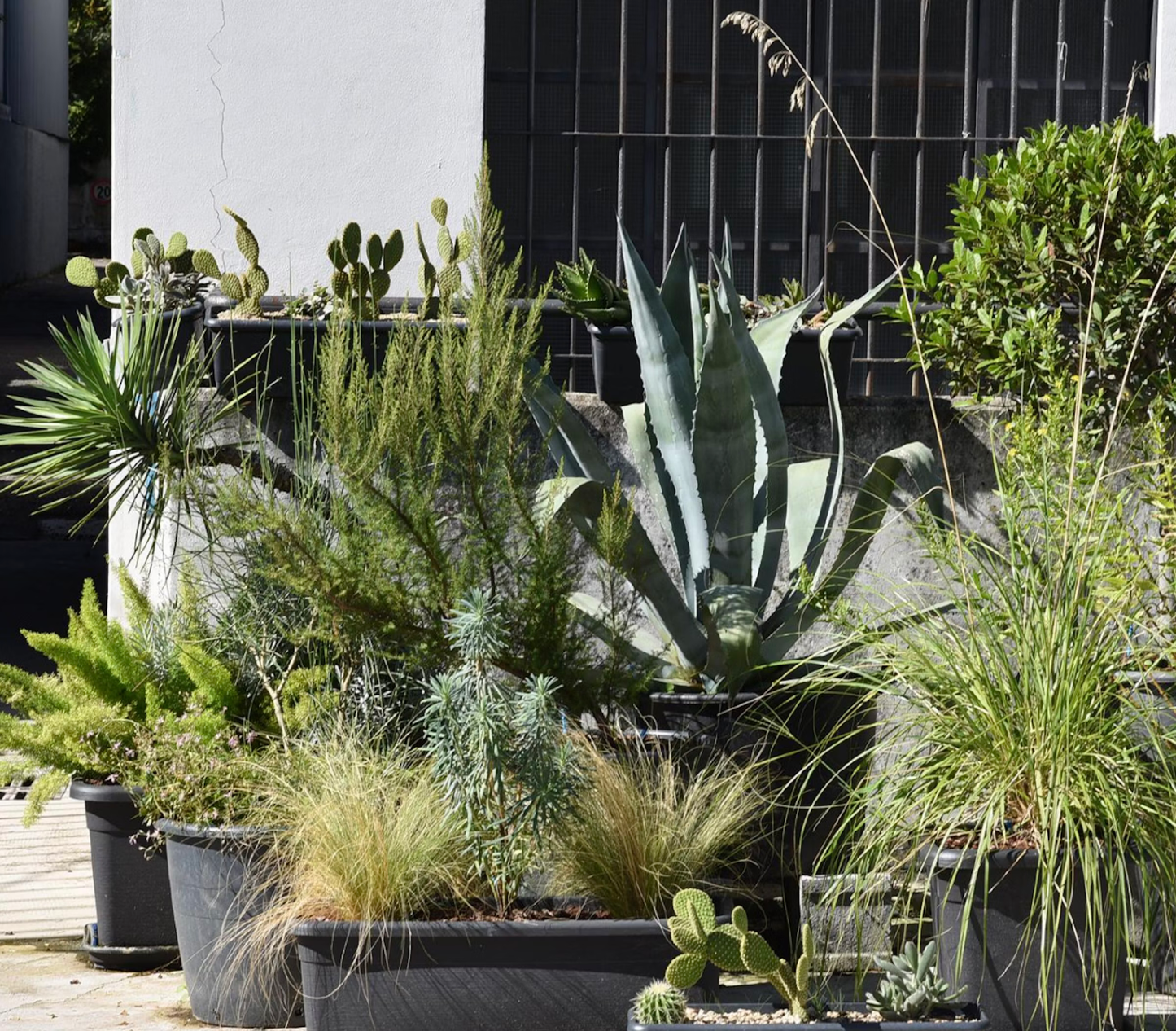 An afternoon in your Botanical Clinic