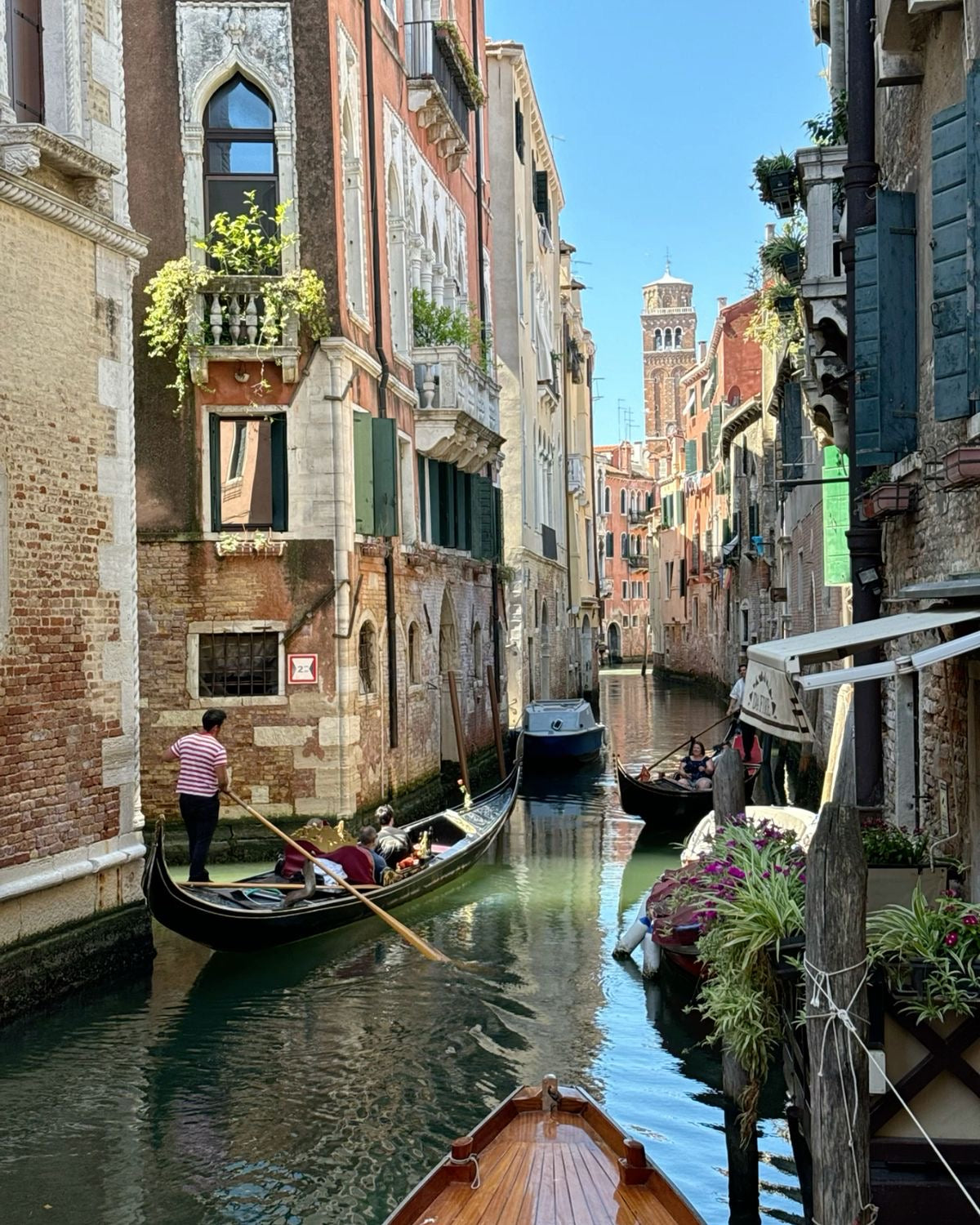VENEZIA COLLECTION
