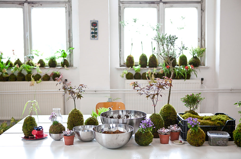 Crea la tua composizione botanica attraverso un workshop di Kokedama a Torino