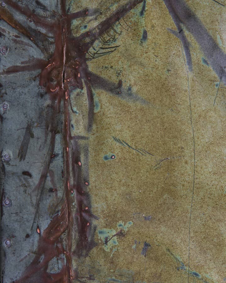 Componi il tuo vassoio con materiali riciclati