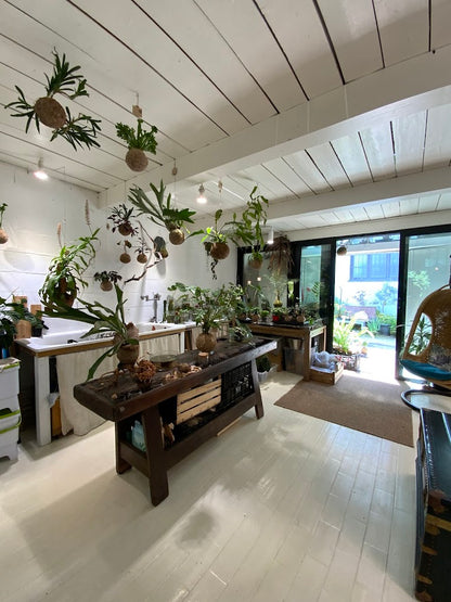 Crea il tuo terrarium in vetro o su corteccia in un atelier botanico a Milano
