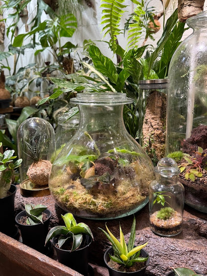 Crea il tuo terrarium in vetro o su corteccia in un atelier botanico a Milano