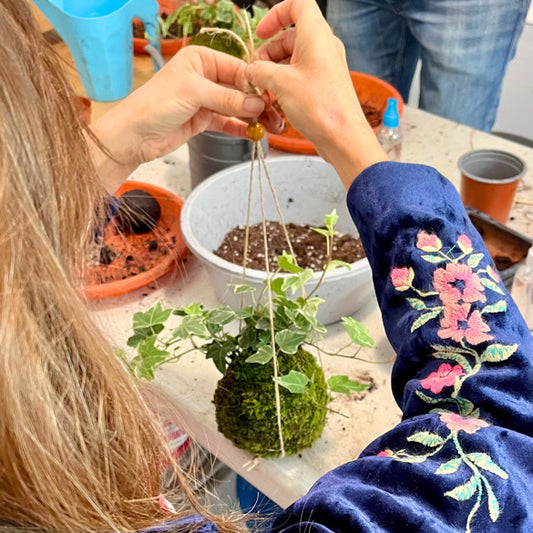Bring nature to life: create your own Kokedama