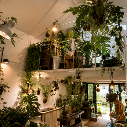 Create your glass or bark terrarium in a botanical workshop in Milan