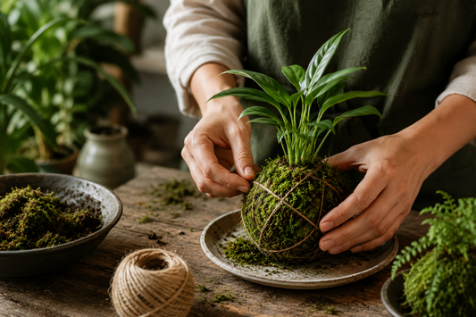 Scopri l’arte del Kokedama con un workshop botanico giapponese a Milano