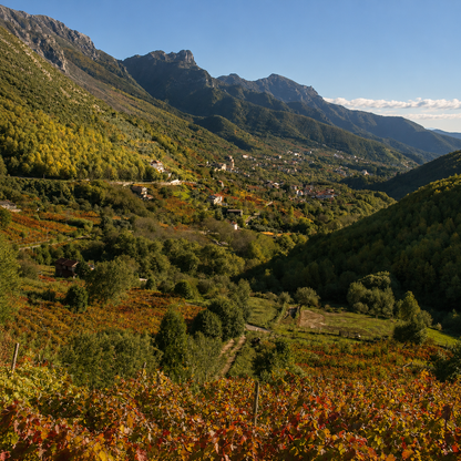 Scopri i vini eroici di Tramonti con visita ai vigneti storici e degustazione