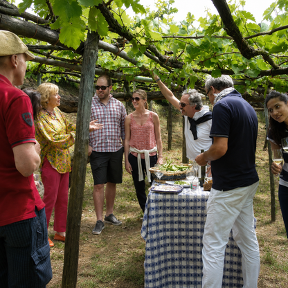 Scopri i vini eroici di Tramonti con visita ai vigneti storici e degustazione