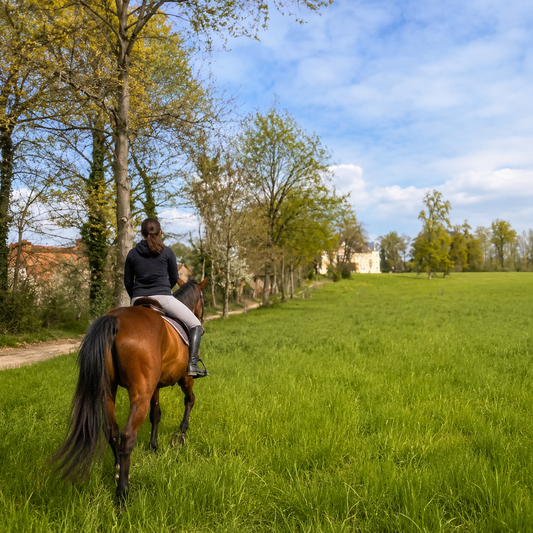 Monta a cavallo e vivi un pranzo nella natura a Torino
