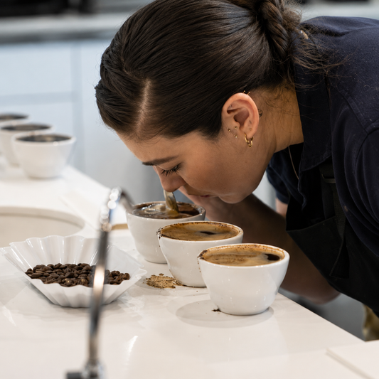Sviluppa i tuoi coffee sensory skills