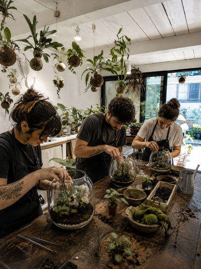 Crea il tuo terrarium in vetro o su corteccia in un atelier botanico a Milano