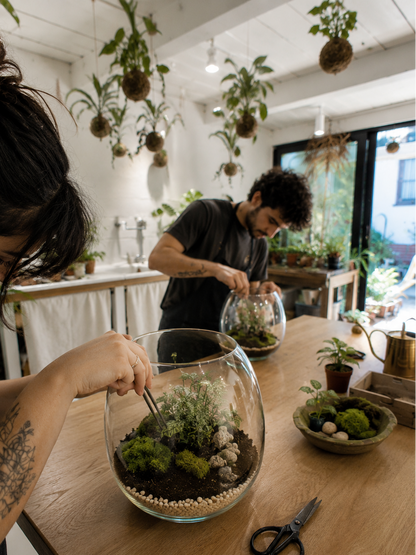 Crea il tuo terrarium in vetro o su corteccia in un atelier botanico a Milano