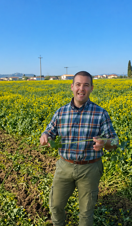 Scopri uno storico mulino in Toscana e il percorso del grano con degustazione finale