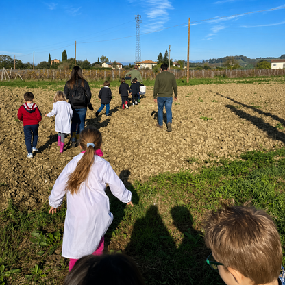 Scopri uno storico mulino in Toscana e il percorso del grano con degustazione finale