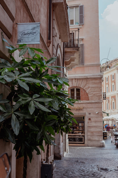 Crea il tuo gelato artigianale con i fratelli Ciampini a Roma