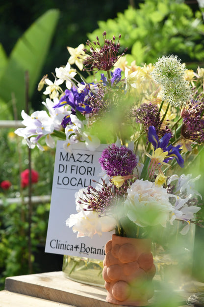 An afternoon in your Botanical Clinic