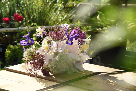 An afternoon in your Botanical Clinic