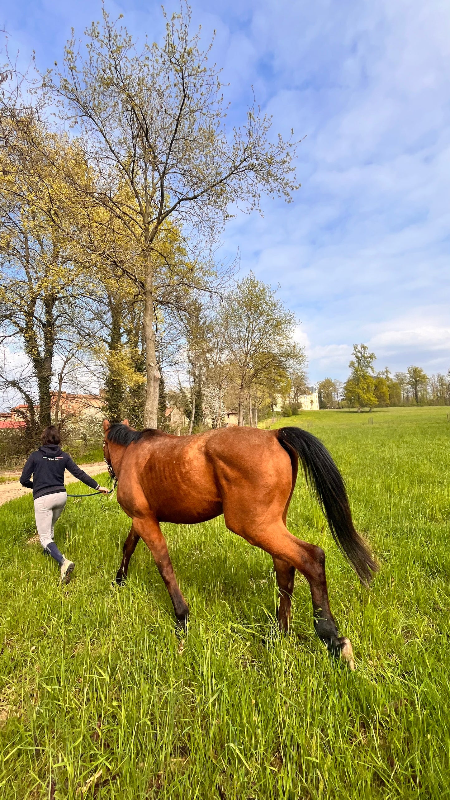 Monta a cavallo nella natura incontaminata! - 1 ora