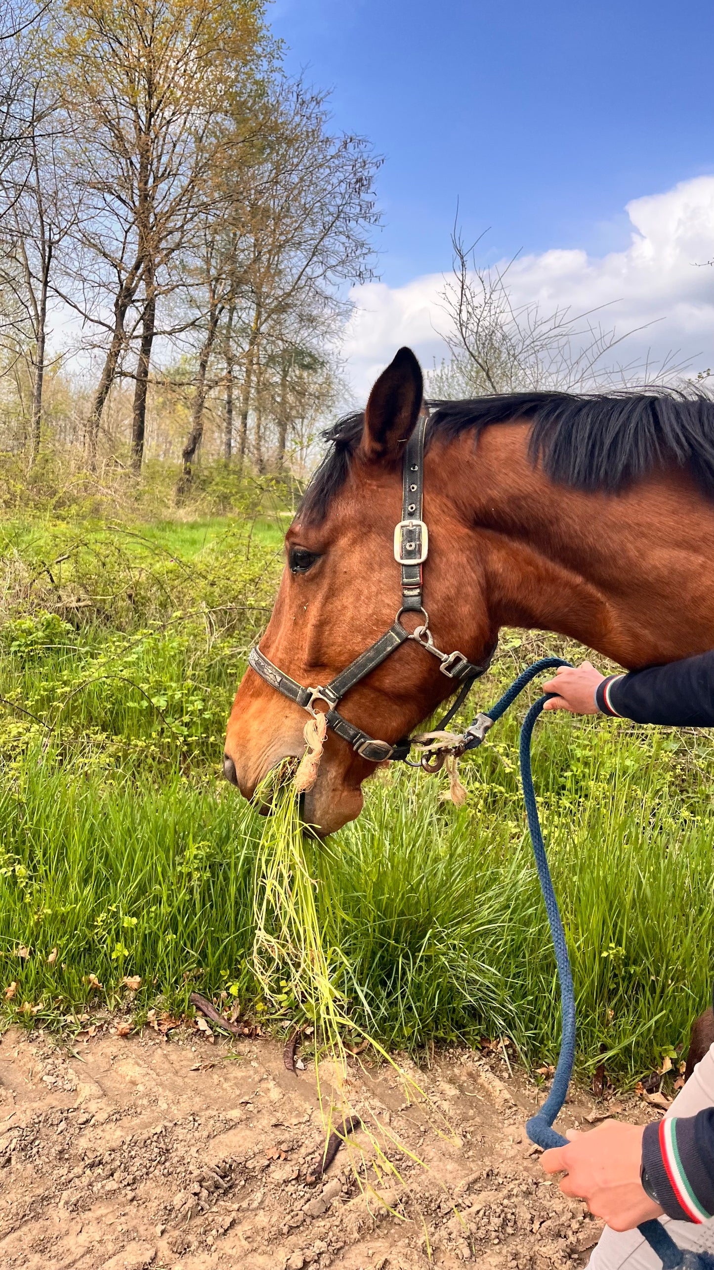 Monta a cavallo nella natura incontaminata! - 1 ora