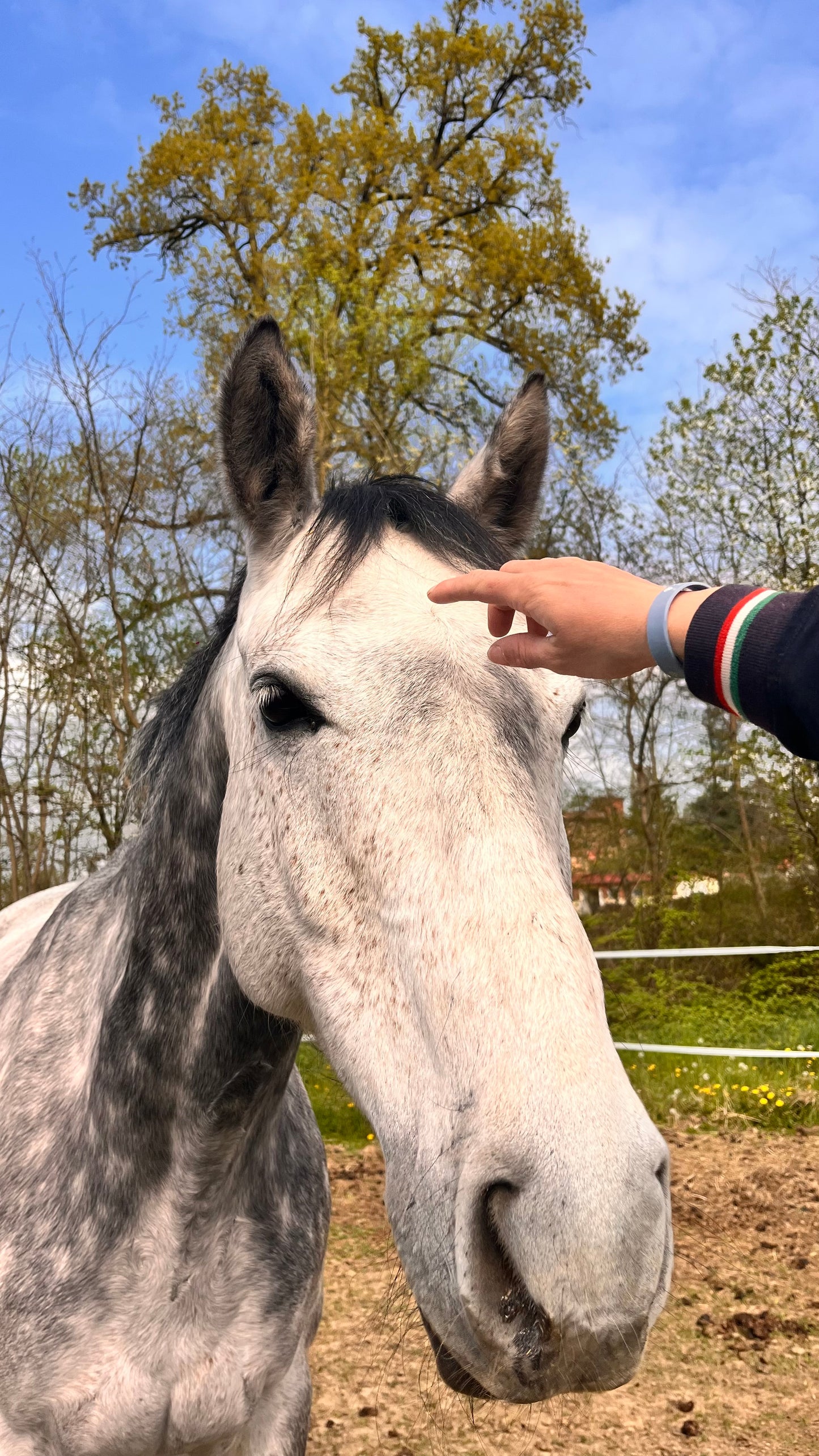 Monta a cavallo nella natura incontaminata! - 1 ora