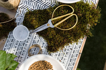 Crea la tua composizione botanica attraverso un workshop di Kokedama a Torino