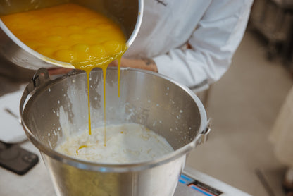 Crea il tuo gelato artigianale con i fratelli Ciampini a Roma