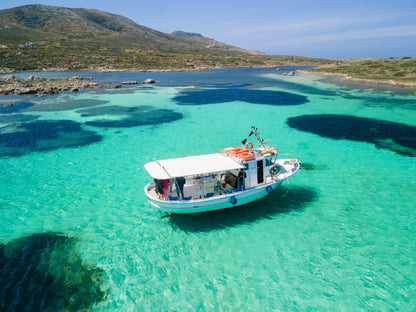 Vivi una giornata in barca all’Asinara con un pescatore locale e pranzo a bordo