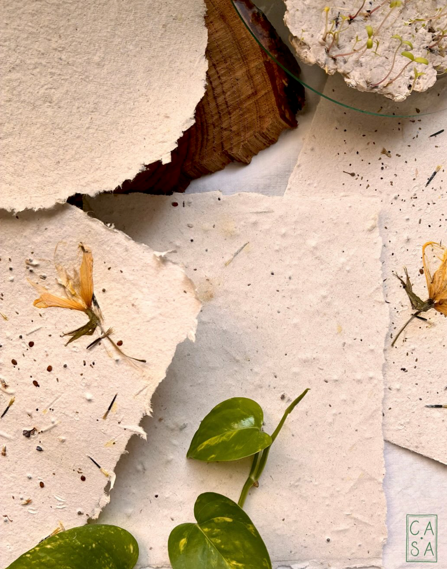 Create your handmade paper, between nature and matter in a creative workshop