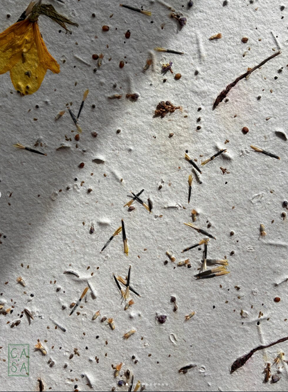 Create your handmade paper, between nature and matter in a creative workshop