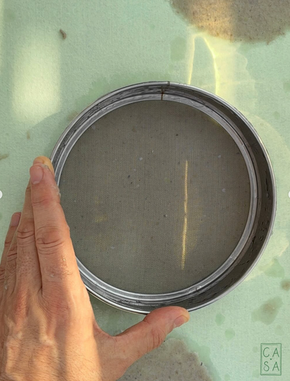 Create your handmade paper, between nature and matter in a creative workshop