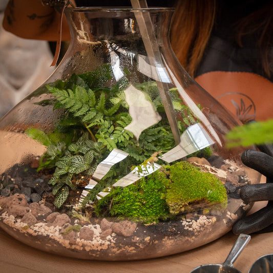 Crea un terrario, il tuo giardino sotto vetro