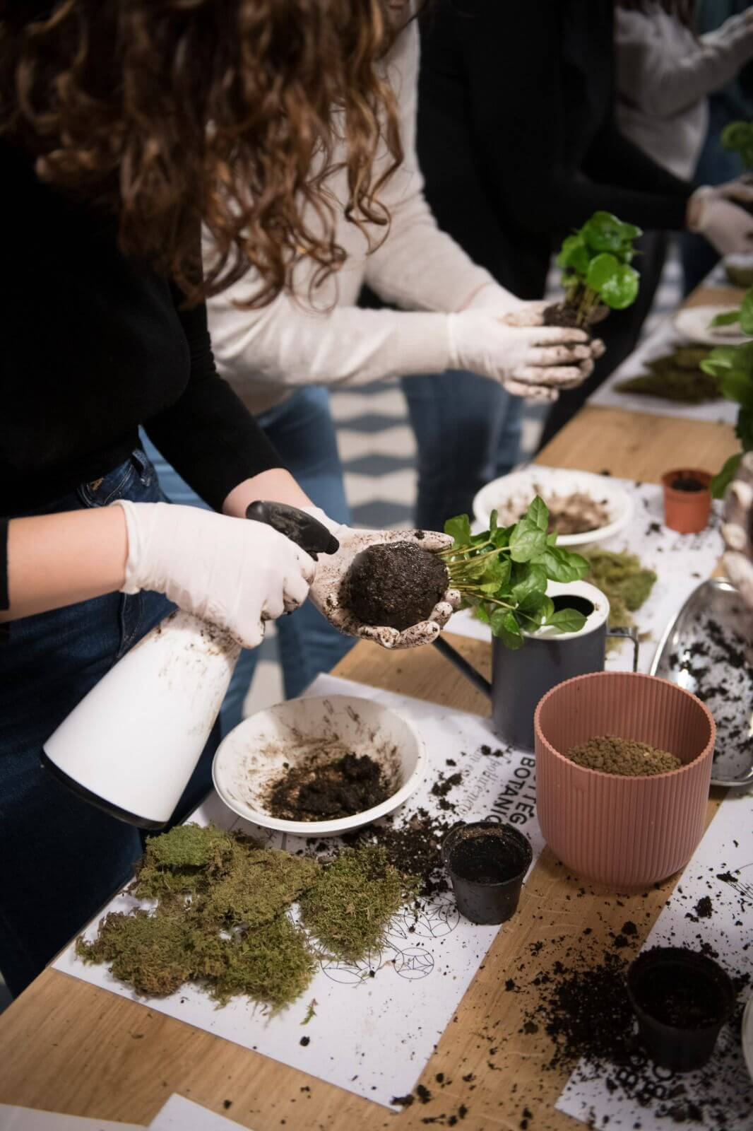Crea la tua composizione botanica attraverso un workshop di Kokedama a Torino