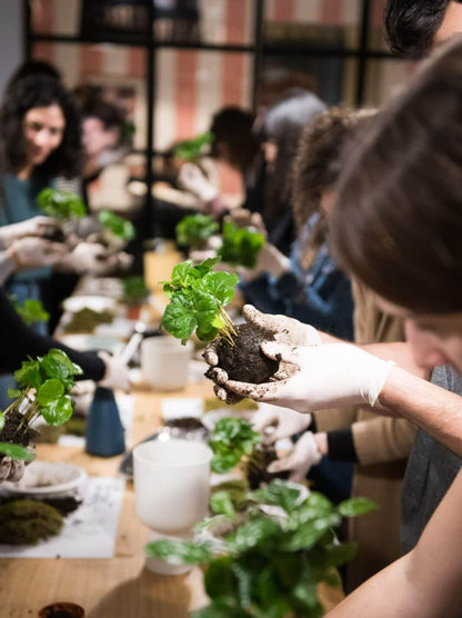 Crea la tua composizione botanica attraverso un workshop di Kokedama a Torino
