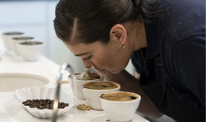 Develop your coffee sensory skills