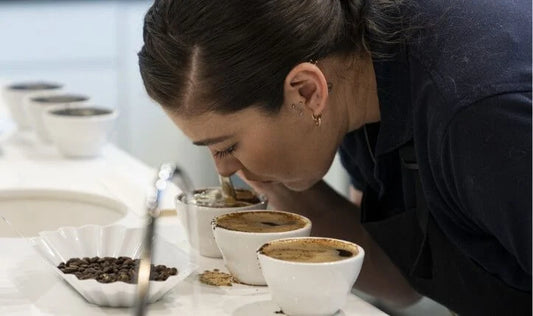 Develop your coffee sensory skills
