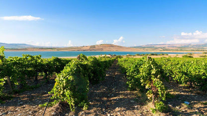 Discover the wines from Italy's greatest wine regions in an exclusive space in Como