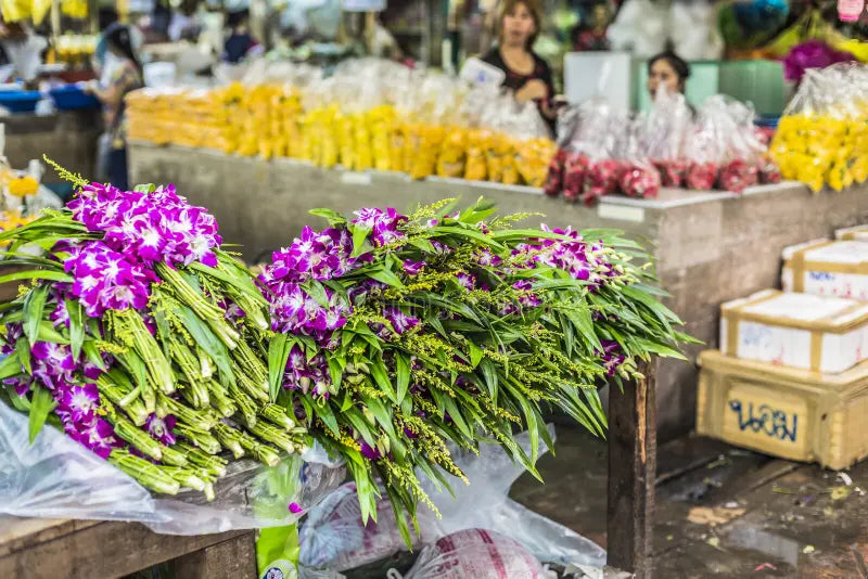 From Farm to Table: vivi la cucina italiana partendo dalla spesa a un mercato autentico rionale a Milano