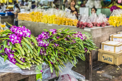 From Farm to Table: vivi la cucina italiana partendo dalla spesa a un mercato autentico rionale a Milano