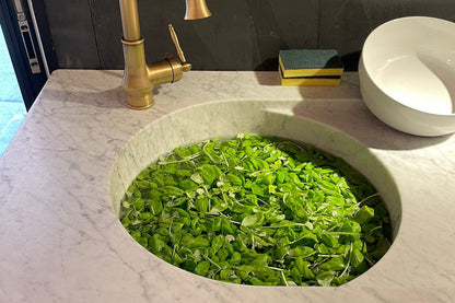 Prepara il vero pesto ligure fatto a mano a Portovenere