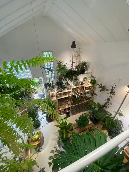 Crea il tuo terrarium in vetro o su corteccia in un atelier botanico a Milano